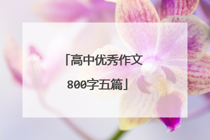 高中优秀作文800字五篇
