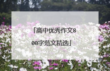 高中优秀作文800字范文精选