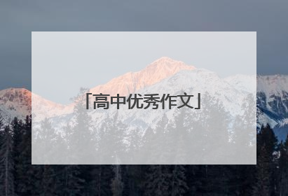 高中优秀作文
