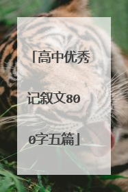 高中优秀记叙文800字五篇