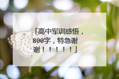高中军训感悟,800字,特急谢谢!!!!!