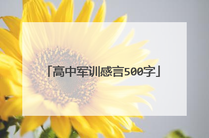 高中军训感言500字