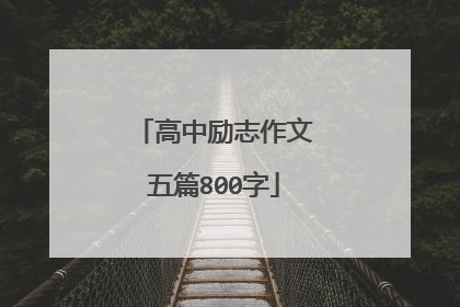 高中励志作文五篇800字