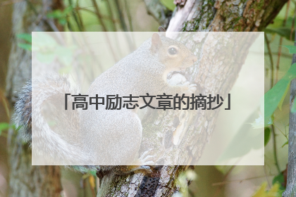 高中励志文章的摘抄
