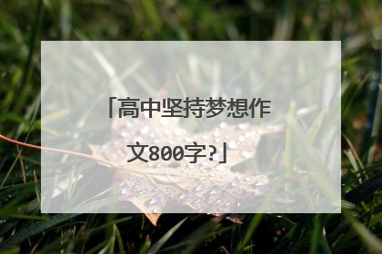 高中坚持梦想作文800字?
