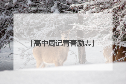 高中周记青春励志