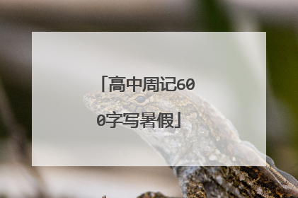 高中周记600字写暑假