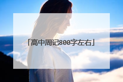 高中周记800字左右