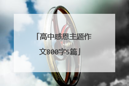 高中感恩主题作文800字5篇