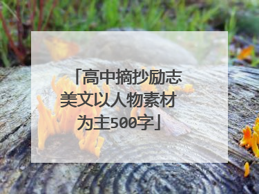 高中摘抄励志美文以人物素材为主500字