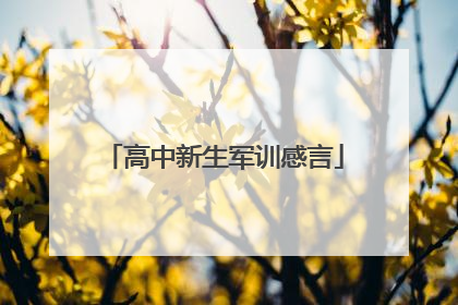 高中新生军训感言