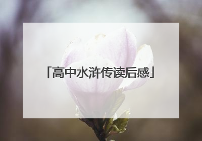 高中水浒传读后感