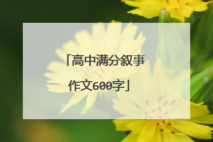 高中满分叙事作文600字