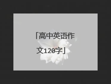 高中英语作文120字