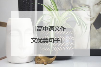 高中语文作文优美句子