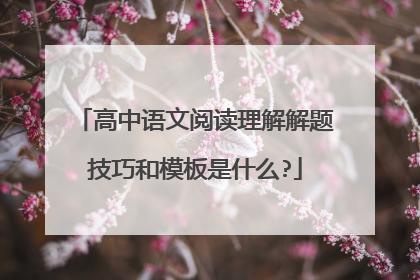 高中语文阅读理解解题技巧和模板是什么?