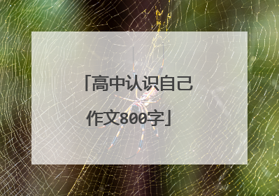 高中认识自己作文800字