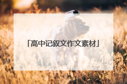 高中记叙文作文素材