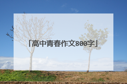 高中青春作文800字