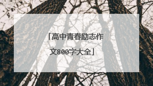 高中青春励志作文800字大全