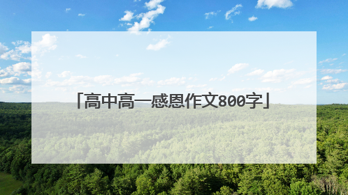高中高一感恩作文800字