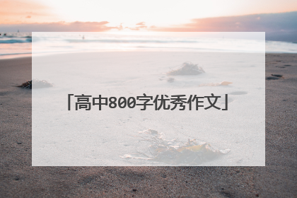 高中800字优秀作文