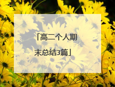 高二个人期末总结3篇