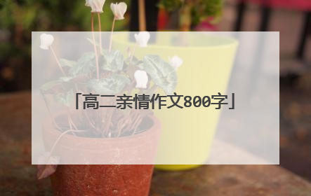 高二亲情作文800字