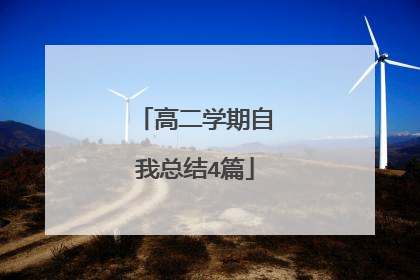高二学期自我总结4篇