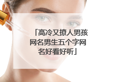 高冷又撩人男孩网名男生五个字网名好看好听