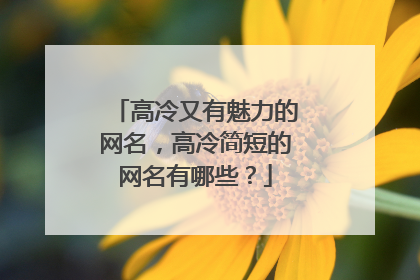 高冷又有魅力的网名，高冷简短的网名有哪些？