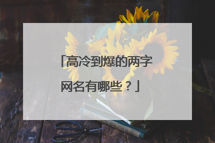 高冷到爆的两字网名有哪些?