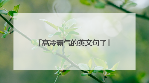 高冷霸气的英文句子
