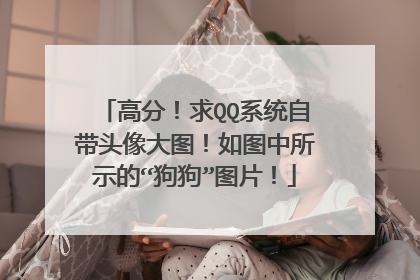 高分！求QQ系统自带头像大图！如图中所示的“狗狗”图片！