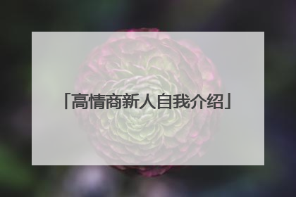 高情商新人自我介绍