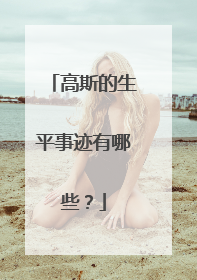 高斯的生平事迹有哪些？