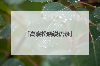 高晓松晓说语录