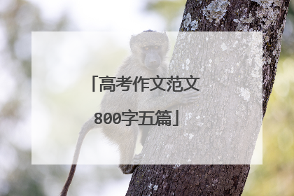 高考作文范文800字五篇
