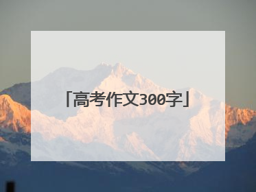 高考作文300字