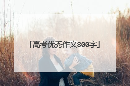 高考优秀作文800字