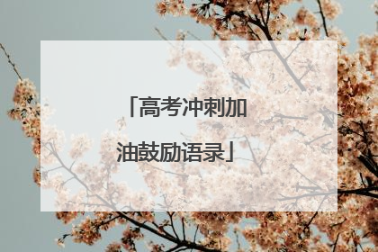 高考冲刺加油鼓励语录