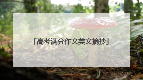 高考满分作文美文摘抄