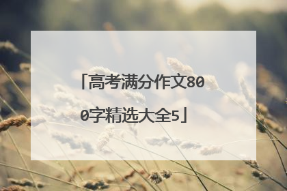 高考满分作文800字精选大全5