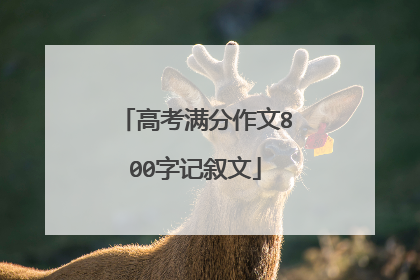 高考满分作文800字记叙文