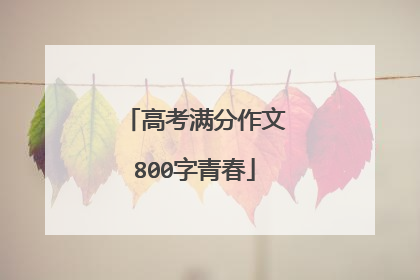 高考满分作文800字青春