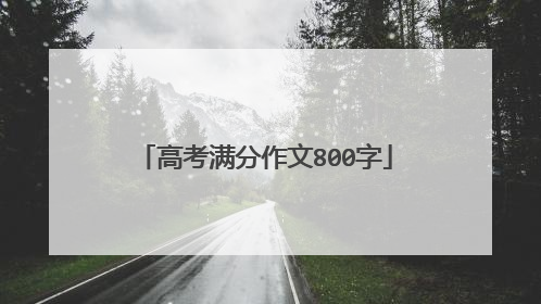 高考满分作文800字