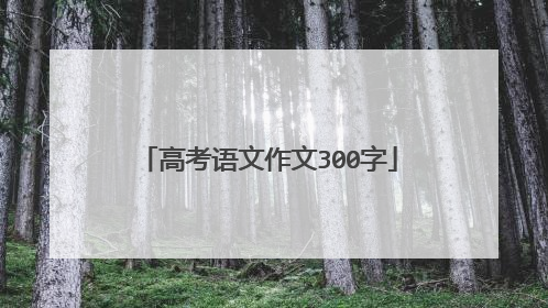 高考语文作文300字