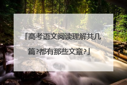 高考语文阅读理解共几篇?都有那些文章?