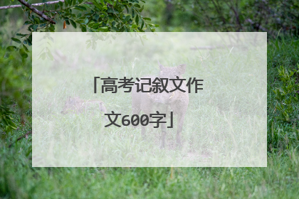 高考记叙文作文600字