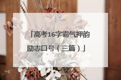 高考16字霸气押韵励志口号(三篇)